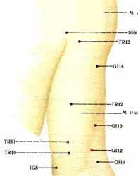 GI12.ЧЖОУ-ЛЯО. Лечение: боли в области
плеча и локтевого сустава, паралич верхних конечностей, ревматический артрит плечевого сустава.